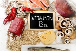 Các loại thực phẩm giàu Vitamin B12 tốt cho trí não của trẻ