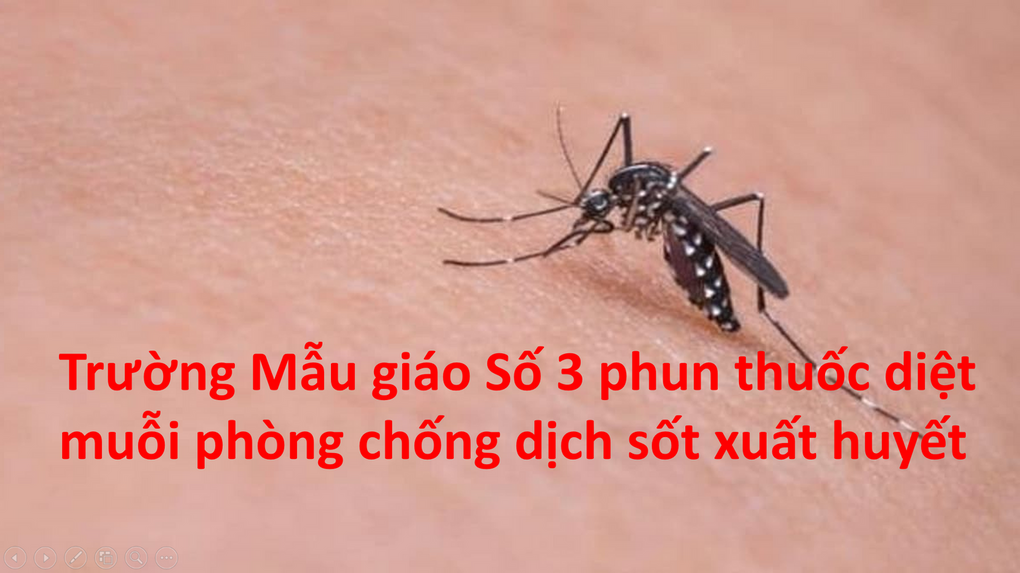 Trường Mẫu giáo Số 3 phun thuốc diệt muỗi phòng chống dịch sốt xuất huyết